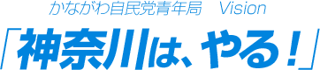 かながわ自民党青年局Vision